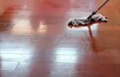 辦公區(qū)域保潔要注意哪些方面呢？