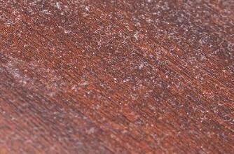 對(duì)于家里灰塵的清理，有什么方法嗎？