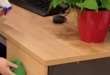 辦公區(qū)域保潔要做哪些呢？