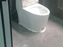 衛(wèi)生間有異味，有什么去除小技巧呢？